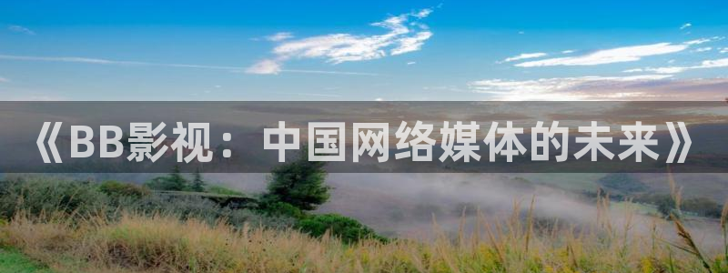 私人家庭影院的推荐理由：《BB影视：中国网络媒体的未来》